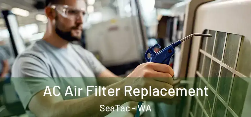 AC Air Filter Replacement SeaTac - WA