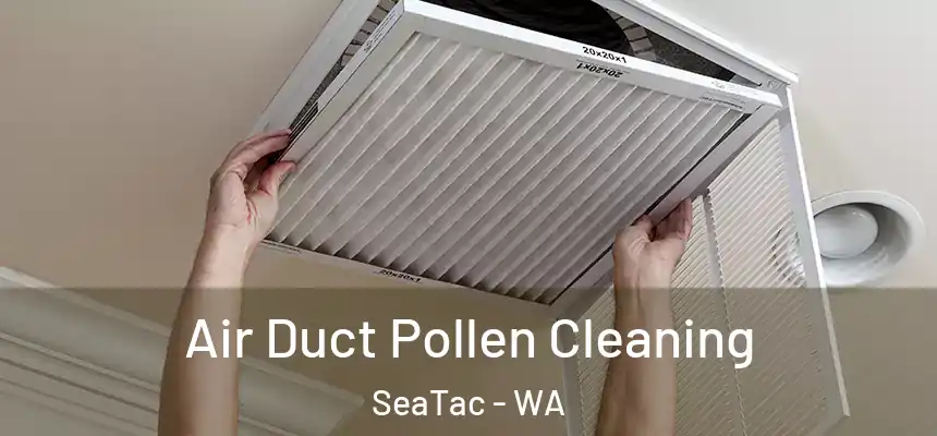  Air Duct Pollen Cleaning SeaTac - WA