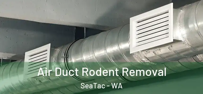  Air Duct Rodent Removal SeaTac - WA
