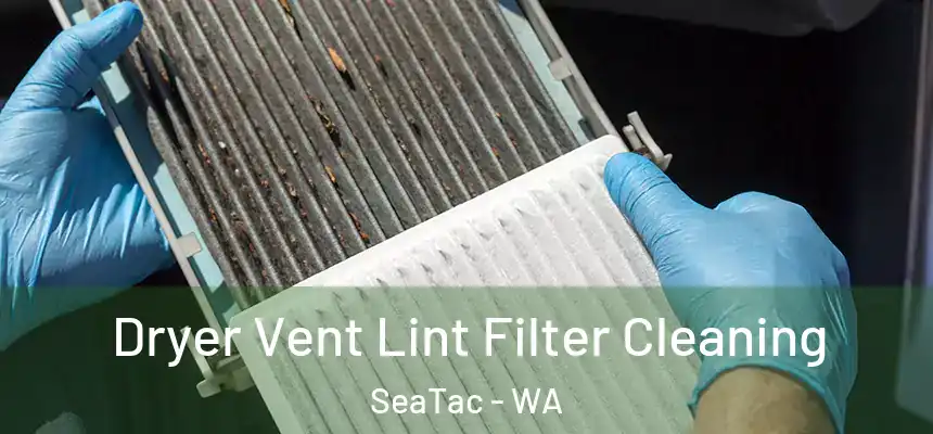 Dryer Vent Lint Filter Cleaning SeaTac - WA