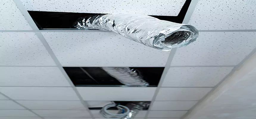 Affordable HVAC Sanitizing After Pest Removal in SeaTac