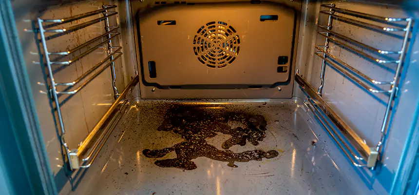 Our Dryer Vent Mold Cleaning Services in SeaTac, WA