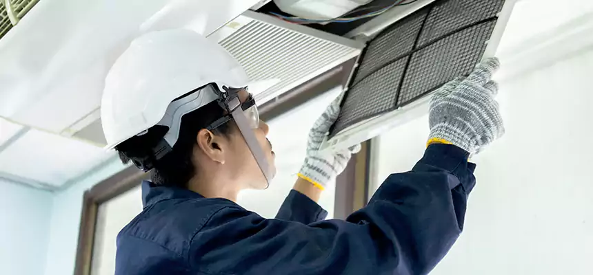 Our Mold & Mildew Removal from Air Ducts Services in SeaTac, WA