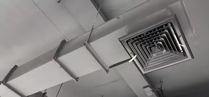 Our Rodent Droppings In Vents Services in SeaTac, WA