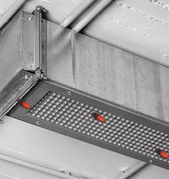 About Air Duct Cockroach Removal in SeaTac, WA