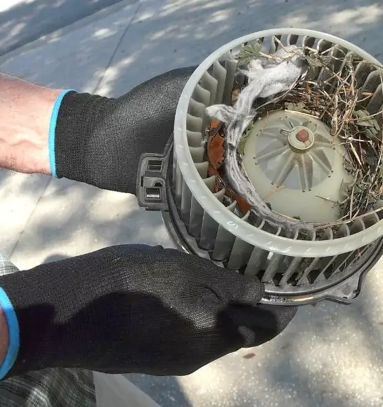 About Air Duct Mice Removal in SeaTac, WA