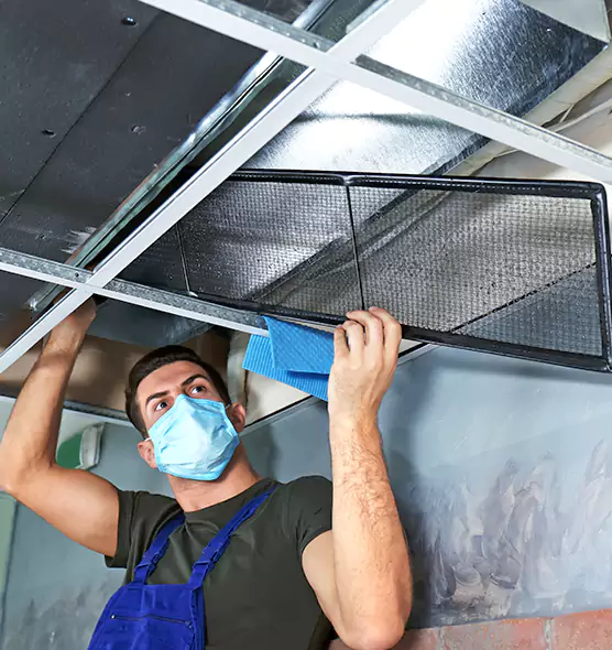 Professional Air Duct Pollen Cleaning in SeaTac, WA