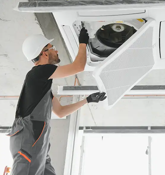 About Air Duct Rodent Removal in SeaTac, WA