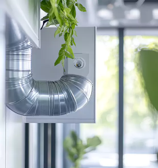 Professional Eco-Safe Dryer Vent Cleaning in SeaTac, WA