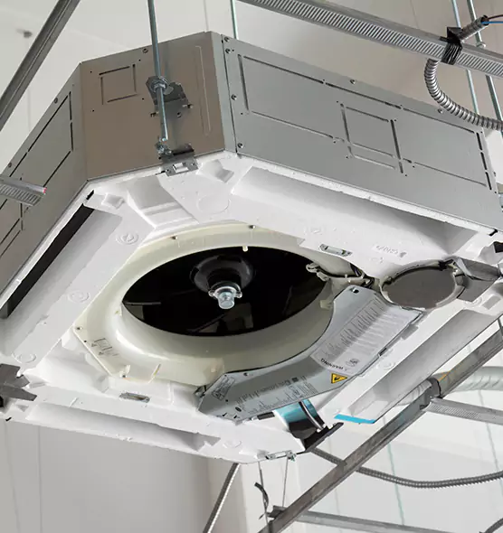 Professional Roof Vent Lint Removal SeaTac, WA