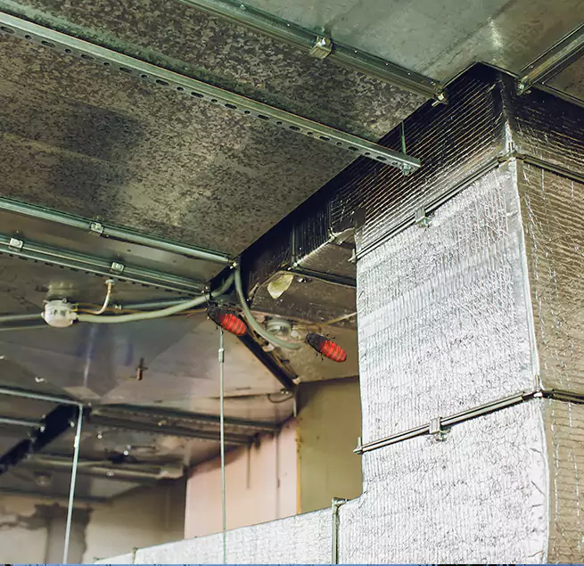 Why Homeowners & Businesses Trust Us in SeaTac, WA?