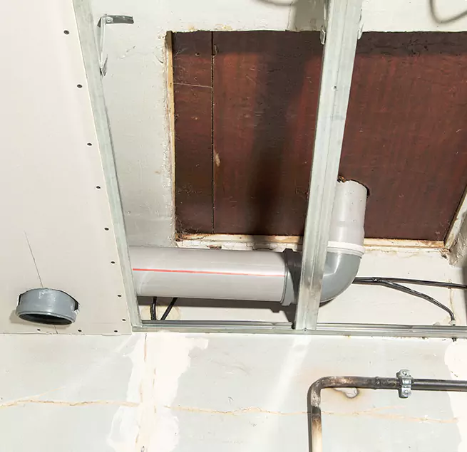 Why Homeowners & Businesses Trust Us in SeaTac, WA?