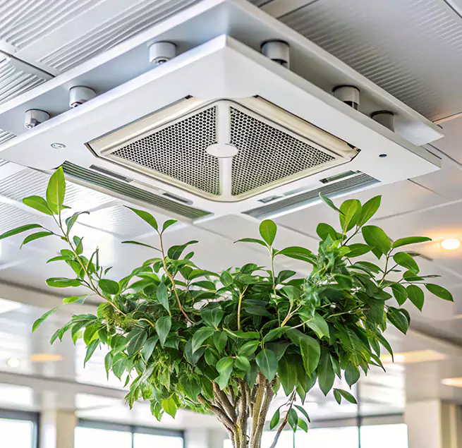 Why Homeowners & Businesses Trust Us in SeaTac, WA?